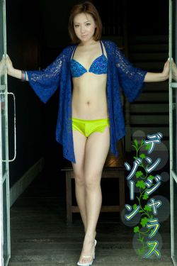电视连续剧璀璨人生
